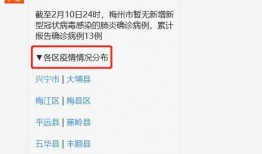 梅州最新爆料消息今天疫情,揭秘病毒传播轨迹与防控措施”